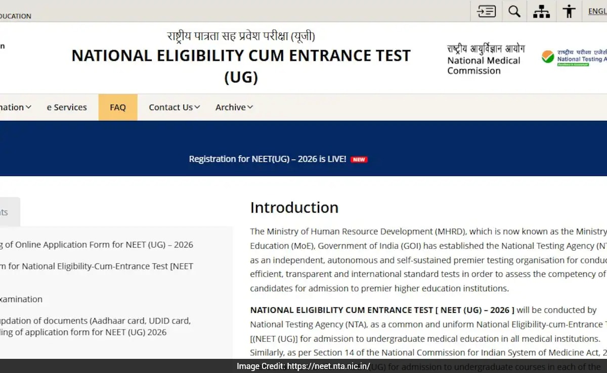 The Art of Baking: From Classic Bread to Artisan Pastries