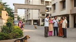 Kalyan: 80 जणांना चावा, खंडणीची मागणी अन् कुत्र्याची हत्या! कल्याणच्या हाय प्रोफाईल सोसायटीत नेमकं चाललंय काय?