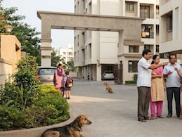 Kalyan: 80 जणांना चावा, खंडणीची मागणी अन् कुत्र्याची हत्या! कल्याणच्या हाय प्रोफाईल सोसायटीत नेमकं चाललंय काय?