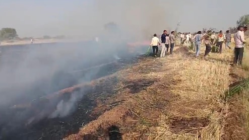 सागर में आग से 10 एकड़ फसल जली, 2 घंटे बाद पहुंची फायर ब्रिगेड की गाड़ियां, धार में 25 बीघा गेहूं जलकर खाक