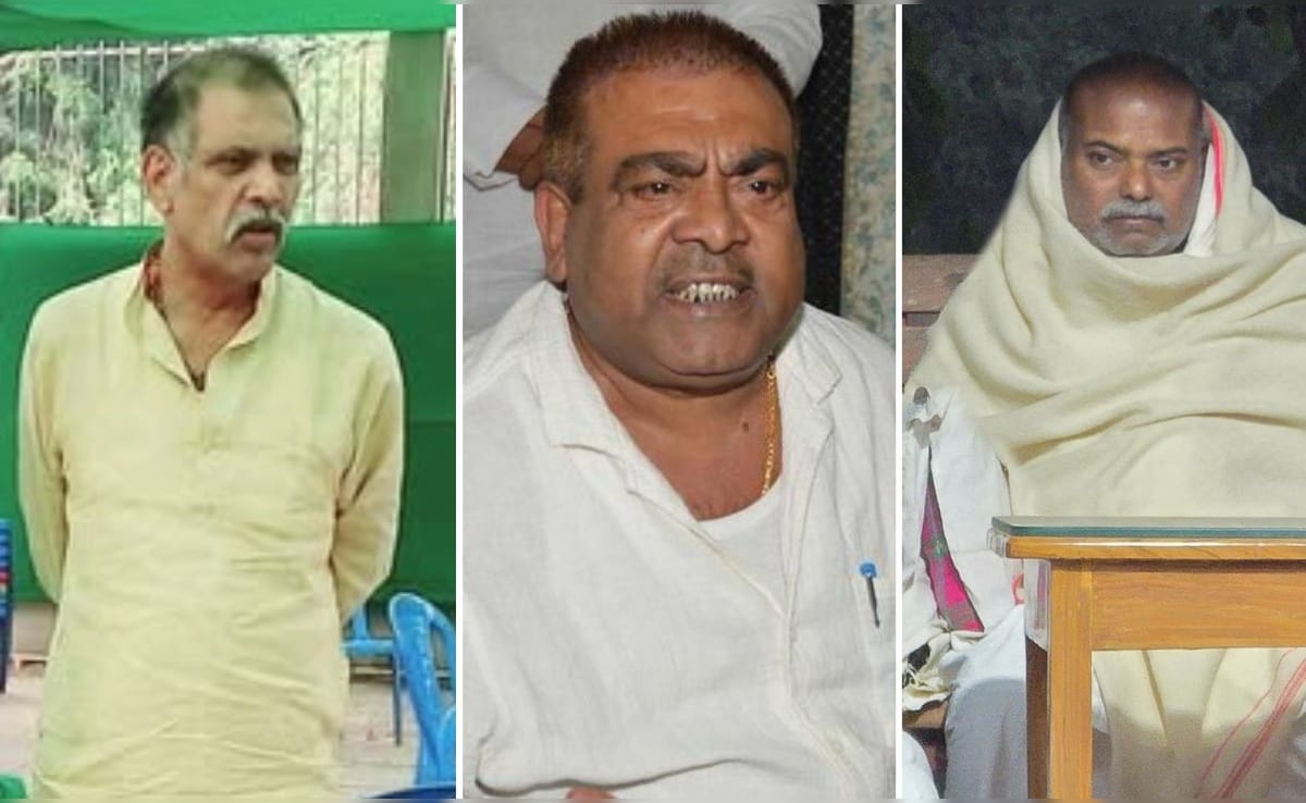 सूरजभान, रमा, राजबल्लभ... बिहार के वो 6 बाहुबली नेता जिनके बेटों की हादसों में हुई असामयिक मौत