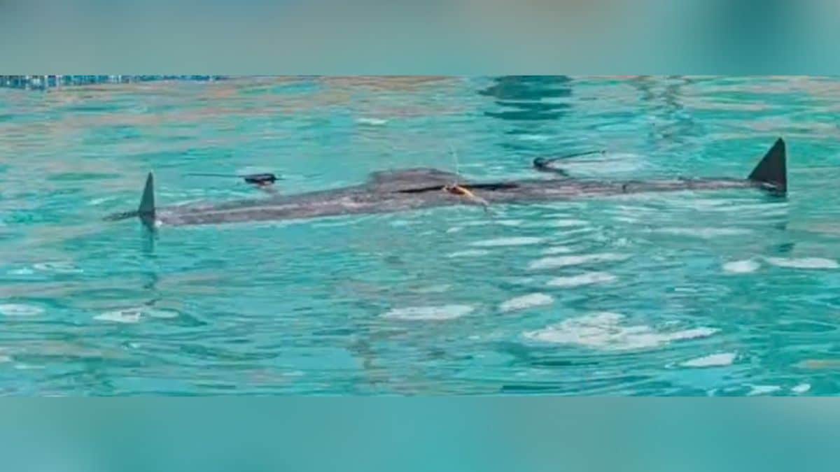 Latest and Breaking News on NDTV