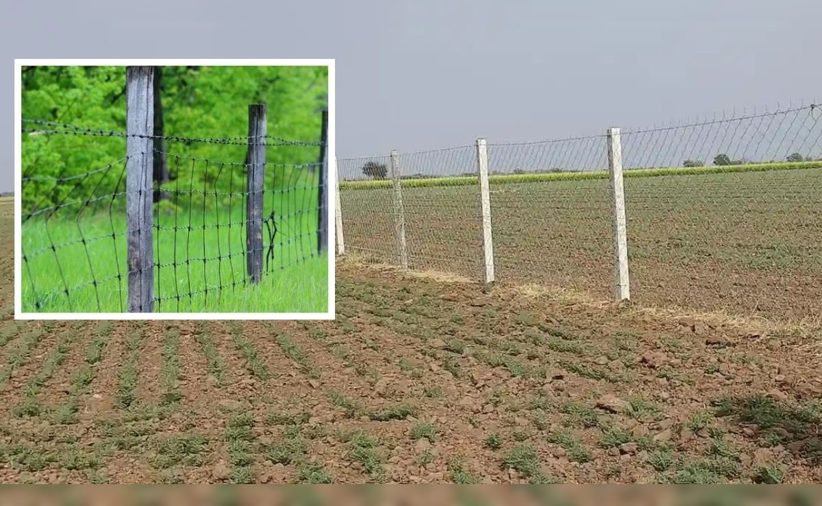 खेतों की तारबंदी के लिए किसानों को सरकार दे रही 40,000 रुपये की सब्सिडी, जानिए कैसे करें आवेदन और कौन से लगेंगे डॉक्यूमेंट