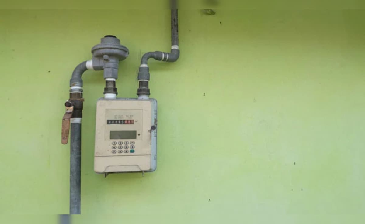 LPG से PNG कनेक्शन में कर रहे हैं स्विच? जानिए कैसे चेक करें कि आपके क्षेत्र में पीएनजी सुविधा है या नहीं