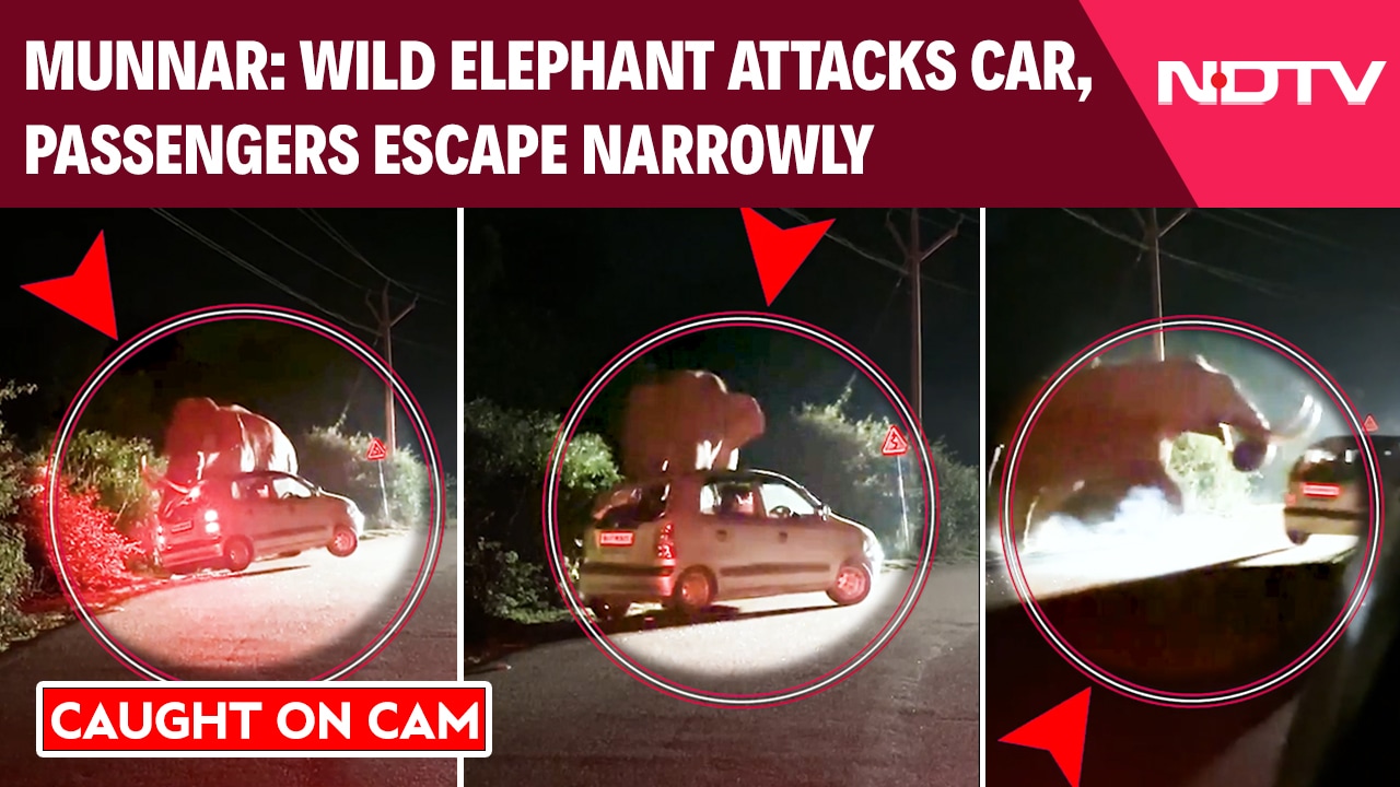 On Cam: Wild Elephant Attacks Car In Munnar, Passengers Escape Narrowly