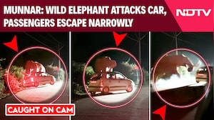 On Cam: Wild Elephant Attacks Car In Munnar, Passengers Escape Narrowly