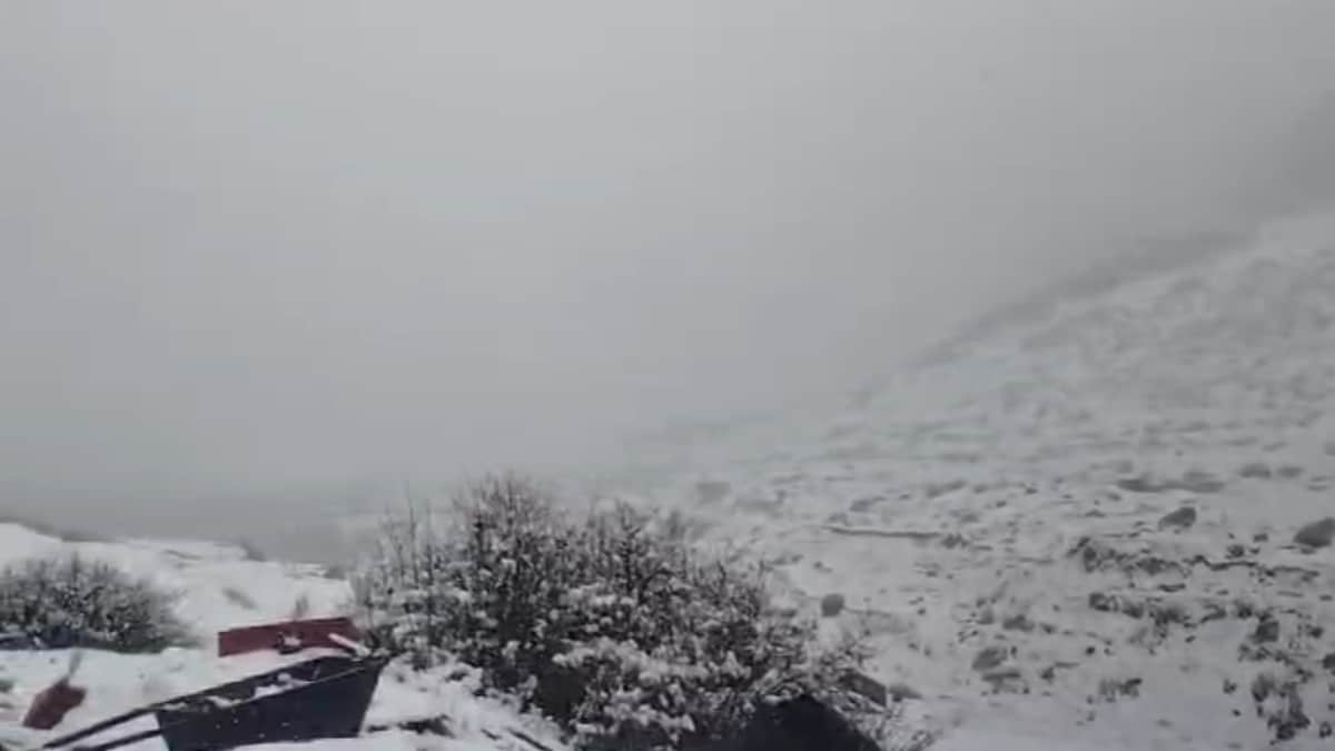 Latest and Breaking News on NDTV