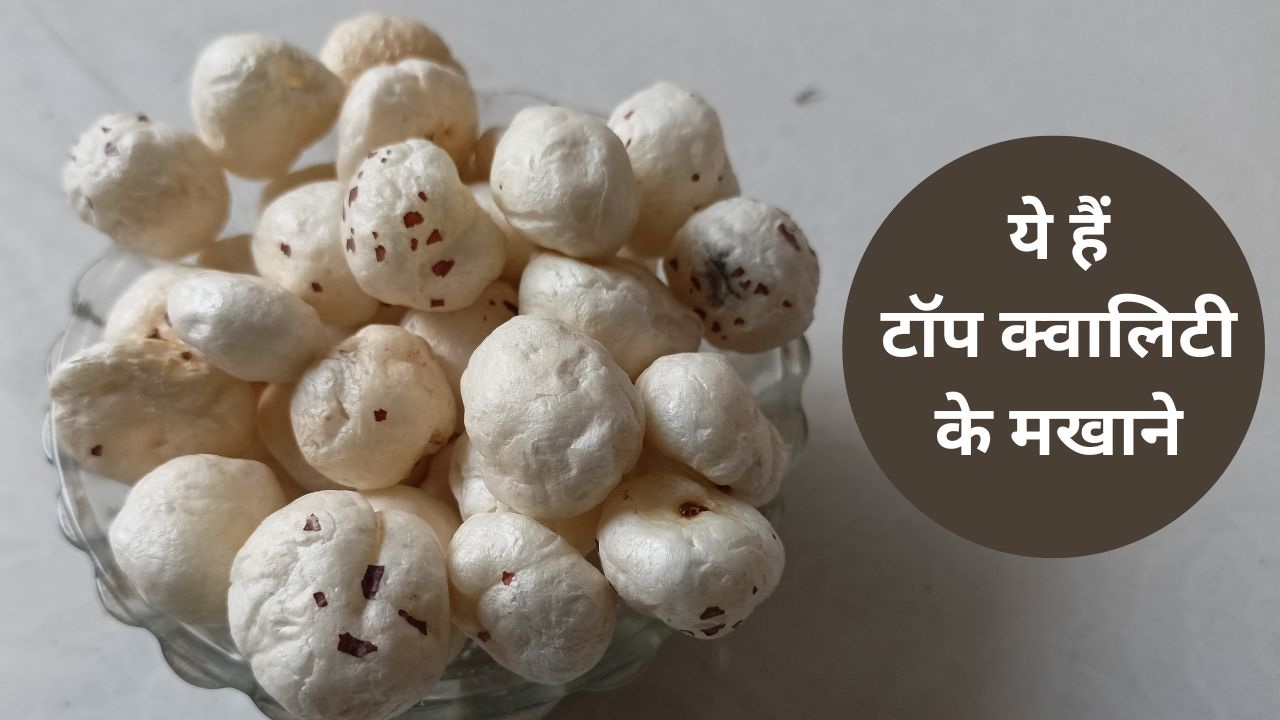 Weight Control से लेकर हड्डियों को मजबूती देने तक, मखाने के हैं दमदार फायदे, अफोर्डेबल दाम में आज ही करें ऑर्डर