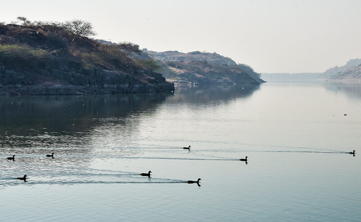 Latest and Breaking News on NDTV