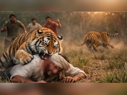 &nbsp;छतरपुर में बाघ का आतंक: किसान पर हमला कर काटा कान, ग्रामीणों की आवाज सुनकर जंगल में भागा