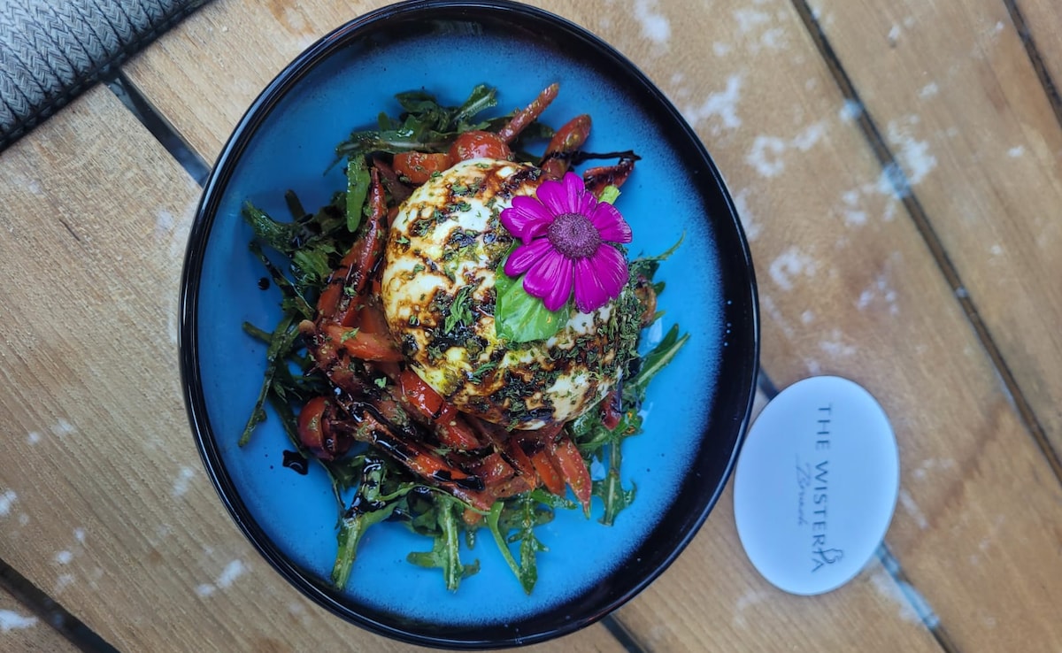 Latest and Breaking News on NDTV