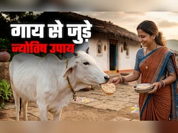 Gau Mata Ke Upay: गोमाता से जुड़ा महाउपाय, जिसे करने पर बरसता है 33 कोटि देवी-देवताओं का आशीर्वाद