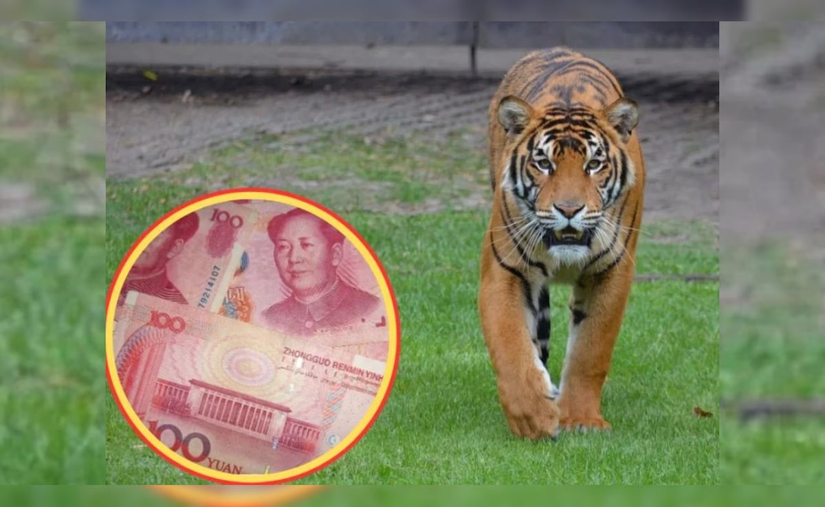 चिड़ियाघर ने छिपाई शावक की मौत, लाइव स्ट्रीमिंग में हुआ खुलासा, जू का लाइसेंस सस्पेंड