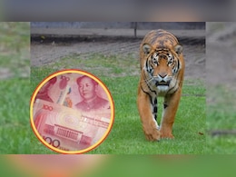 चिड़ियाघर ने छिपाई शावक की मौत, लाइव स्ट्रीमिंग में हुआ खुलासा, जू का लाइसेंस सस्पेंड