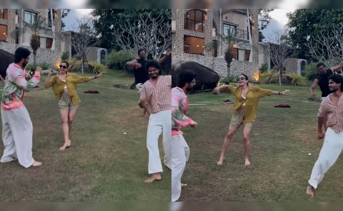 The Art of Baking: From Classic Bread to Artisan Pastries