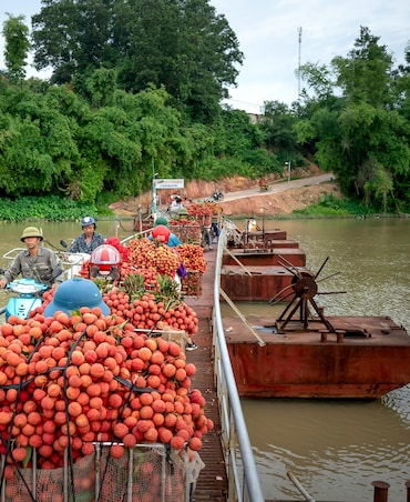Benefits Of Eating Litchi