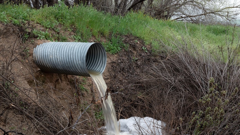 India's Drains Breeding Superbugs? Study Warns Of Hidden Health Risks