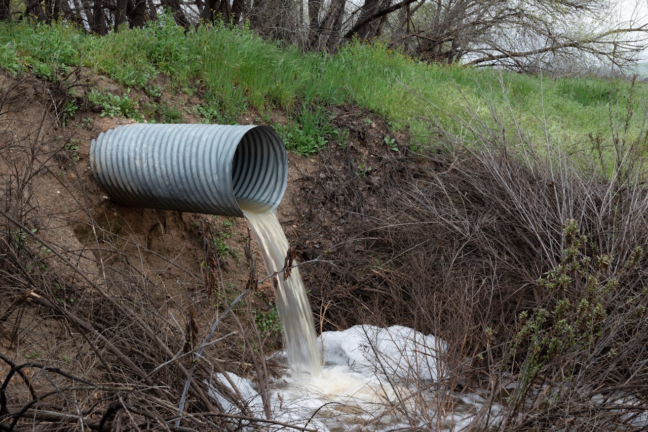 The discovery of antibiotic-resistant microbes in urban sewage highlights AMR crisis