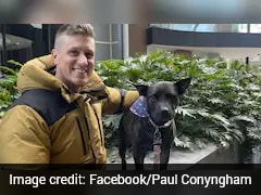 Australian Man Uses ChatGPT To Create Customised Vaccine To Cure Dog's Cancer