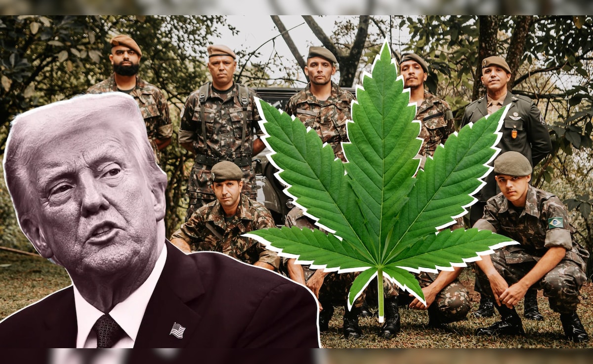 अमेरिका अब गंजेड़ियों को भी सेना में भर्ती करेगा, इरान जंग के बीच बदला नियम