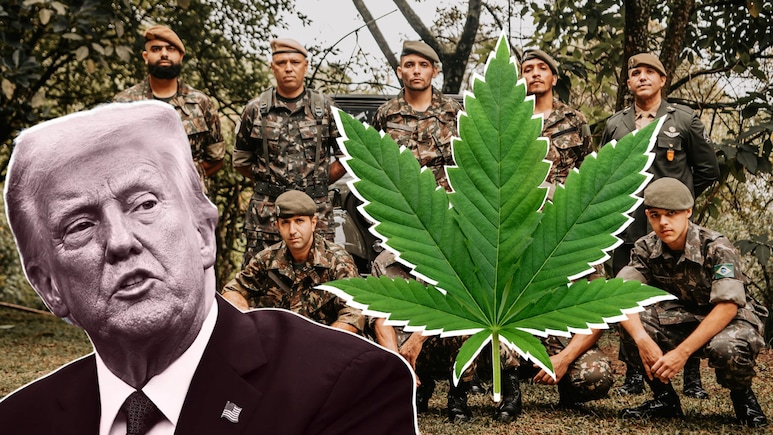 अमेरिका अब गंजेड़ियों को भी सेना में भर्ती करेगा, इरान जंग के बीच बदला नियम