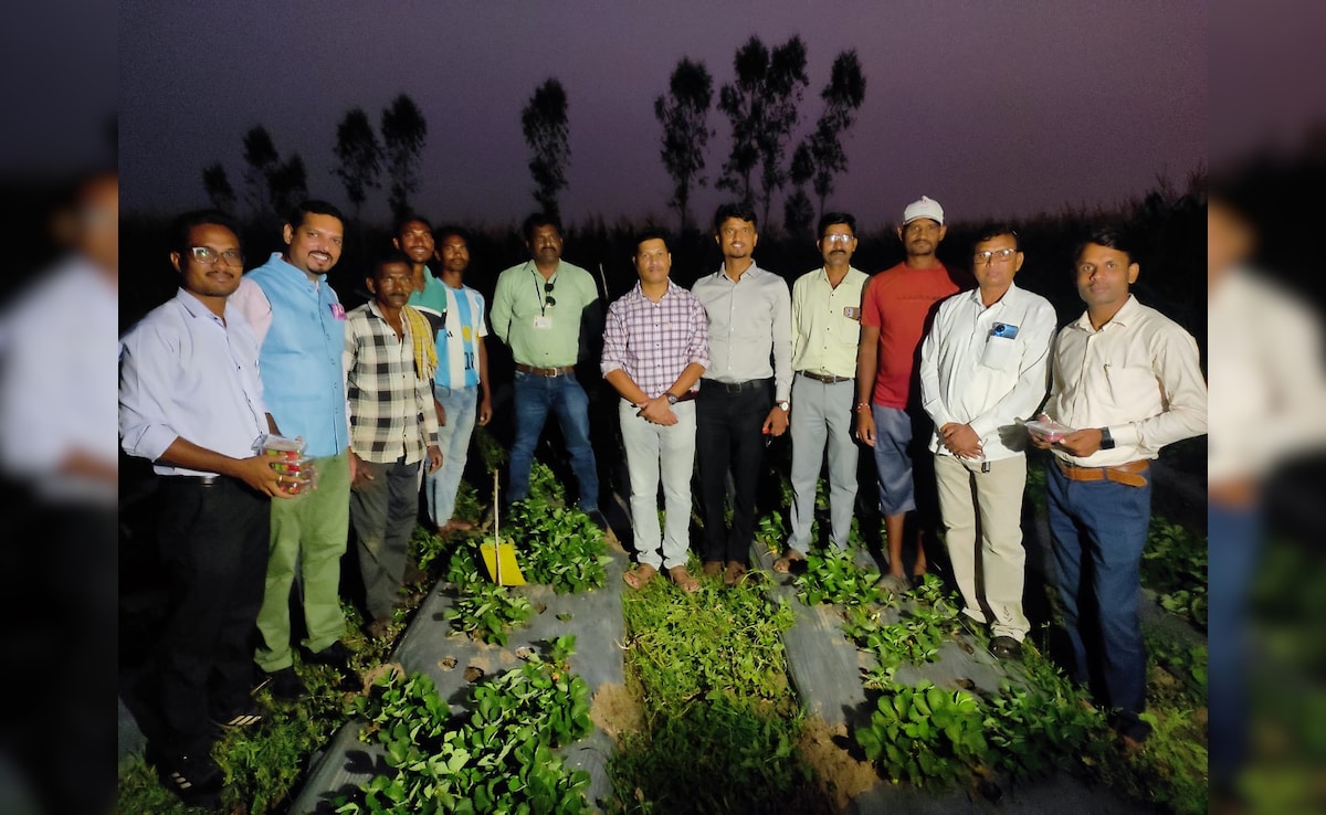 Latest and Breaking News on NDTV