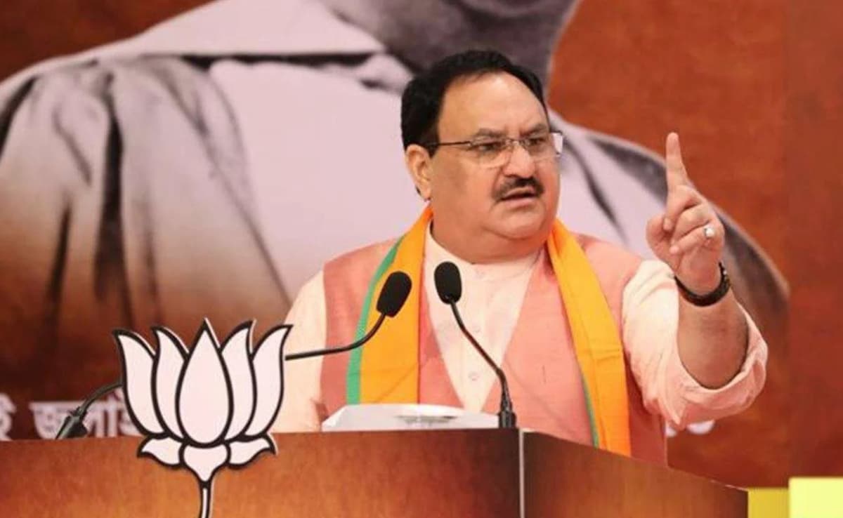 The Art of Baking: From Classic Bread to Artisan Pastries