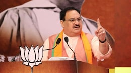 No Shortage Of Anti-Rabies Vaccine, Rabies Immunoglobulin In India: Union Health Minister J P Nadda