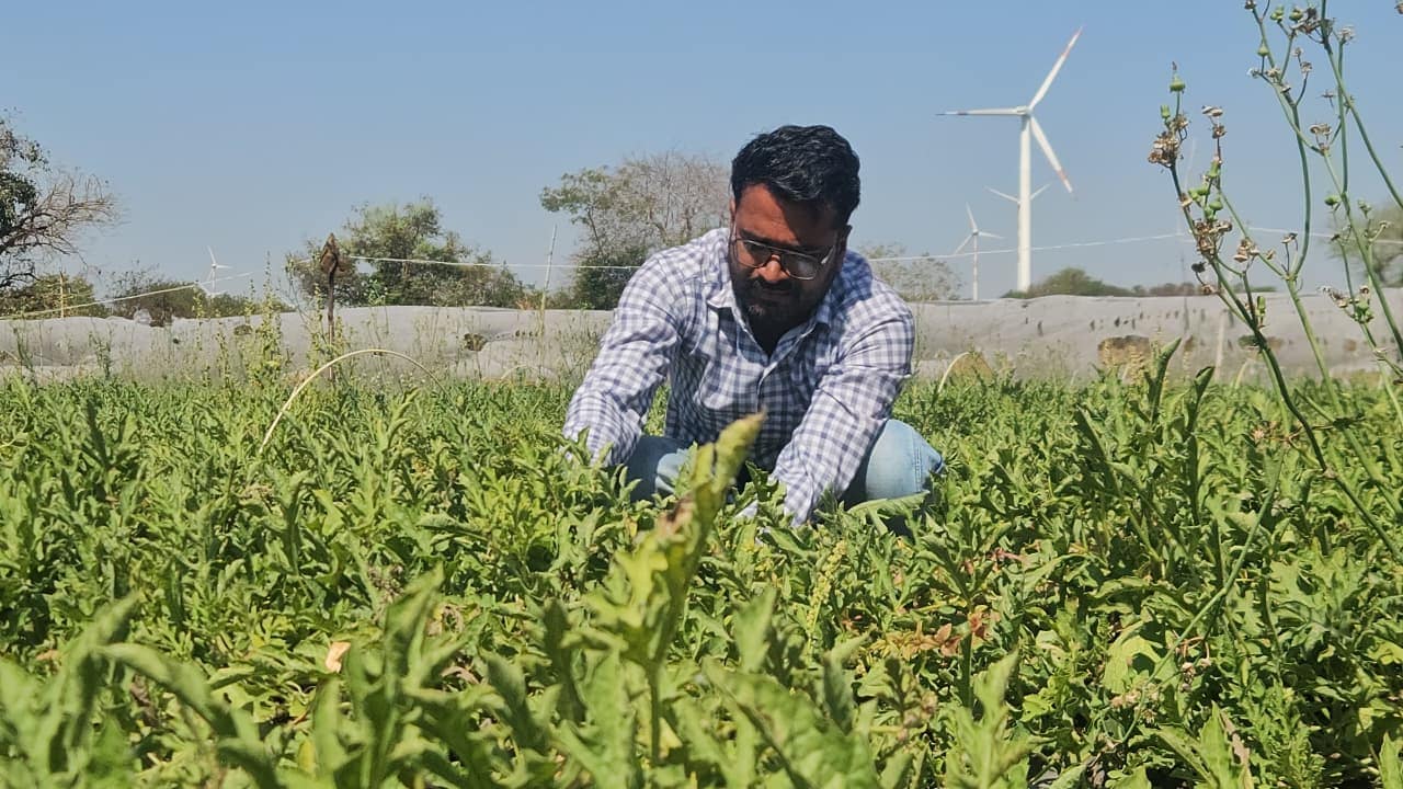 Farmer Success Story: जिद से बनाई पहचान