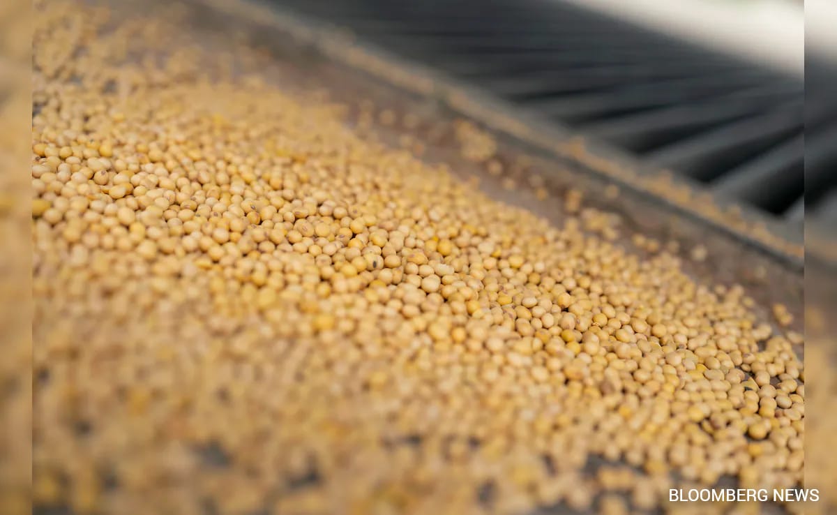 US, China Trade Talks Set To Focus On Soybean Purchases