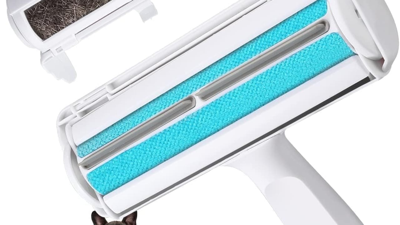 Stop Struggling With Pet Hair: 10 Top Tips To Deep Clean Your Home Furniture Stop Struggling With Pet Hair: 10 Top Tips To Deep Clean Your Home Furniture