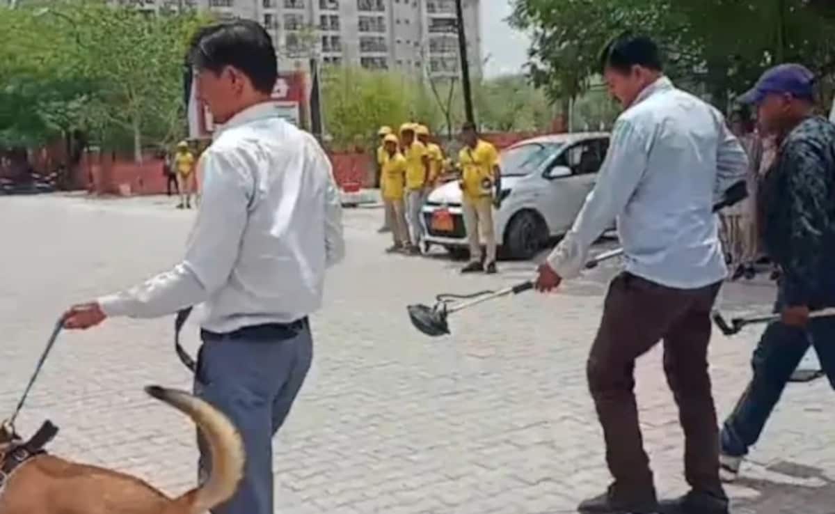 नोएडा के आधा दर्जन से ज्यादा स्कूलों को बम से उड़ाने की धमकी, सर्च ऑपरेशन जारी