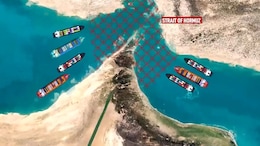 UAE Pushes For "Hormuz Security Force" To Reopen Strait: Report