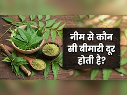 क्या नीम पैंक्रियाटिक कैंसर से बचाव कर सकता है? स्टडी में हुआ चौंकाने वाला खुलासा