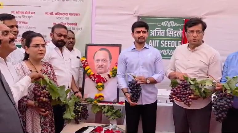 Ajit Pawar: द्राक्ष शेतीत नवी क्रांती अन् अजित पवारांचे नाव; दादांना आगळीवेगळी श्रद्धांजली; पाहा VIDEO