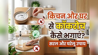 क्या कॉकरोच ने आपकी नाक में भी कर रखा है दम, तो आजमाएं ये घरेलू उपाय, दूर-दूर तक नजर नहीं आएंगे...