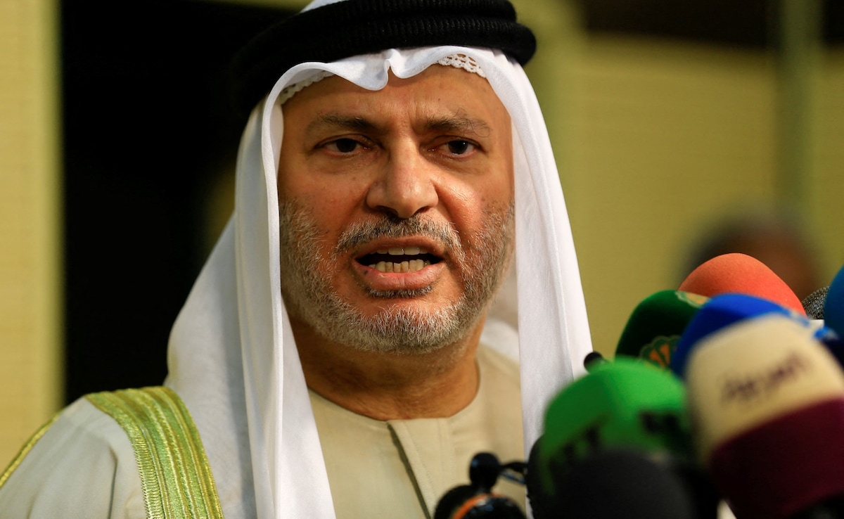 Trusting Iran Again Will Take "Ages And Ages": UAE On Tehran's Attacks