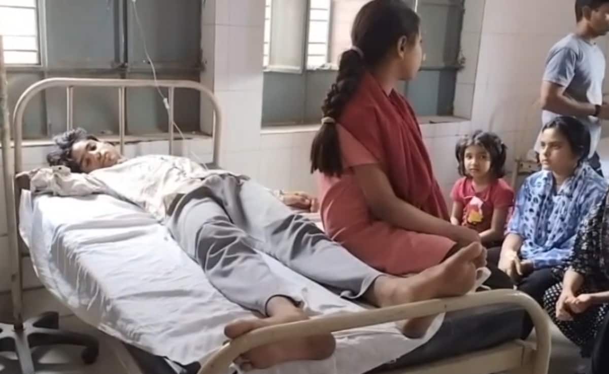 The Art of Baking: From Classic Bread to Artisan Pastries