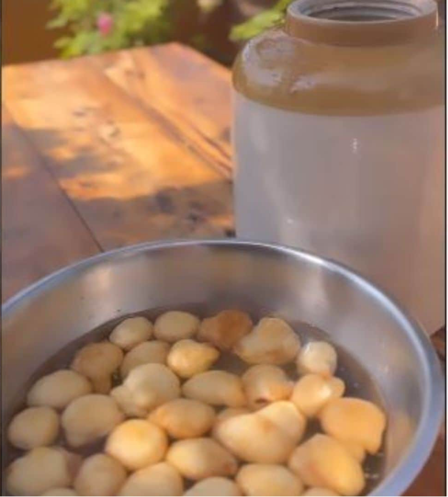 Mini Mathur Shares A Quick And Easy Recipe For Kanji Vada - Watch Video Here