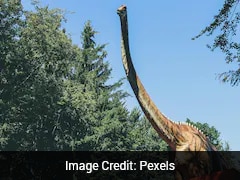 सहारा रेगिस्तान में मिला 10 करोड़ साल पुराना विशाल डायनासोर! नई खोज ने बदल दी इतिहास की किताब