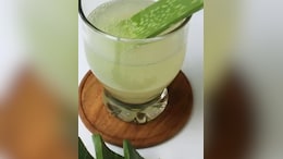 गर्मियों में एलोवेरा जूस बना सेहत का साथी, ठंडक से लेकर स्किन ग्लो तक कई फायदे