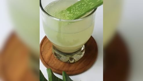 गर्मियों में एलोवेरा जूस बना सेहत का साथी, ठंडक से लेकर स्किन ग्लो तक कई फायदे