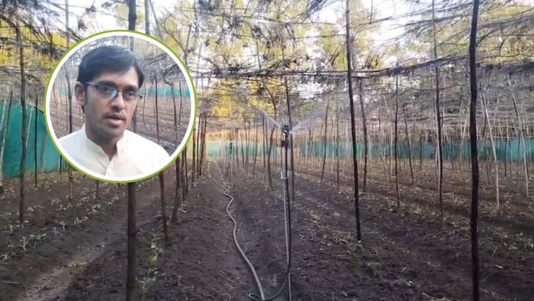 Farmer Success Story: तपती गर्मी में सागर के युवा किसान ने उगा दी सर्दी की फसल, कम लागत में होगी तगड़ी कमाई, जानिए कैसे
