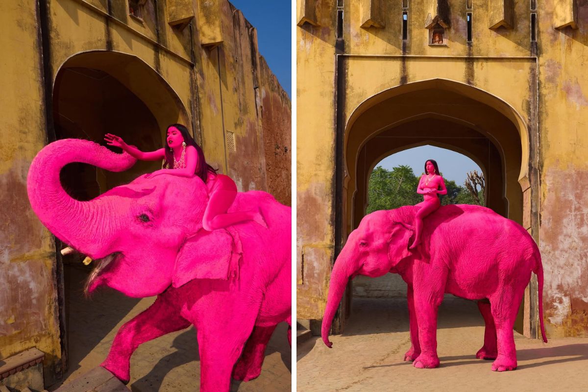 Latest and Breaking News on NDTV