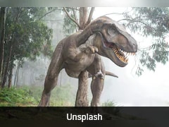 Elon Musk Responds To 'Jurassic Park' Idea, Reviving De-Extinction Debate