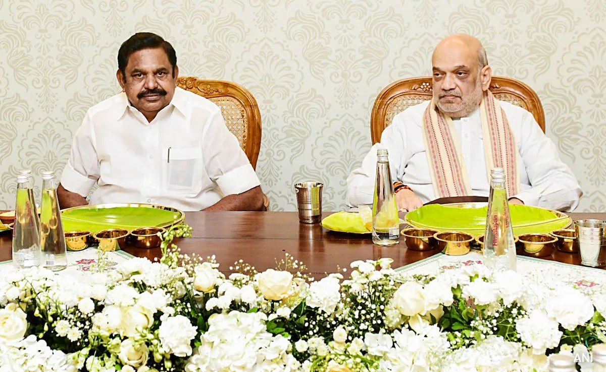 The Art of Baking: From Classic Bread to Artisan Pastries