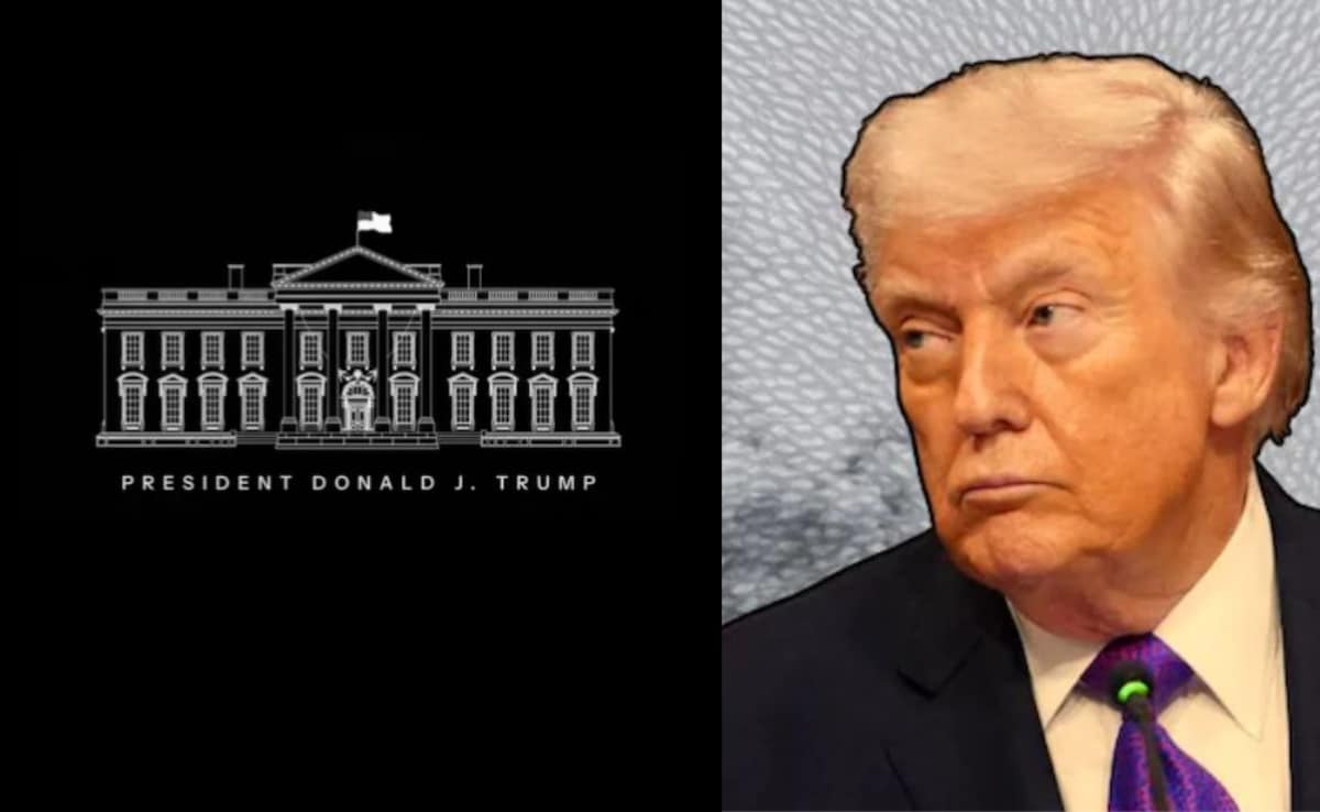 The Art of Baking: From Classic Bread to Artisan Pastries