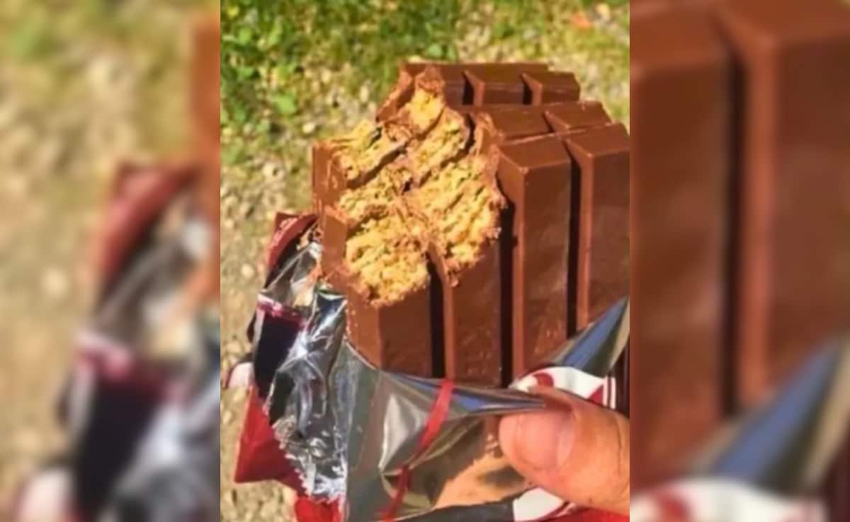 Latest and Breaking News on NDTV