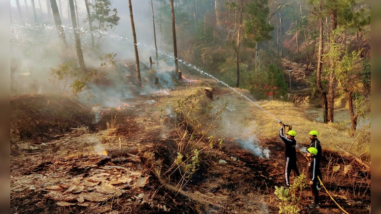 Forest Fire Near Military Station In Arunachal; IAF Helicopter Pressed Into Service