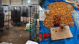 Hyderabad Police Busts Illegal Bakery Making Cakes And Donuts With Rotten Eggs